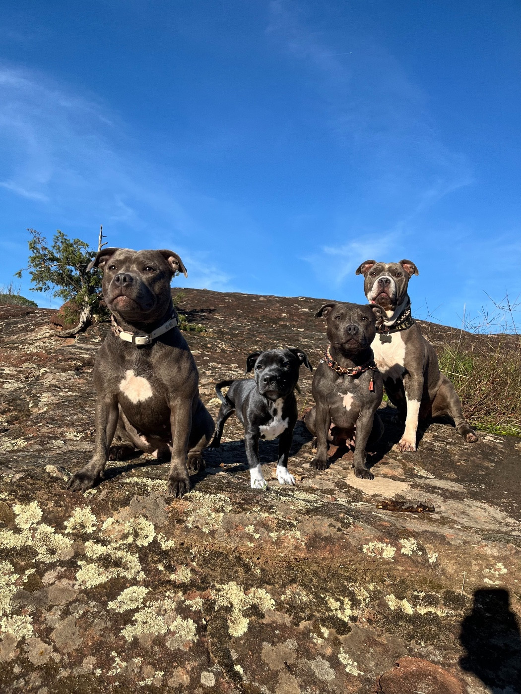 Aidez-nous à avoir enfin notre chez nous !