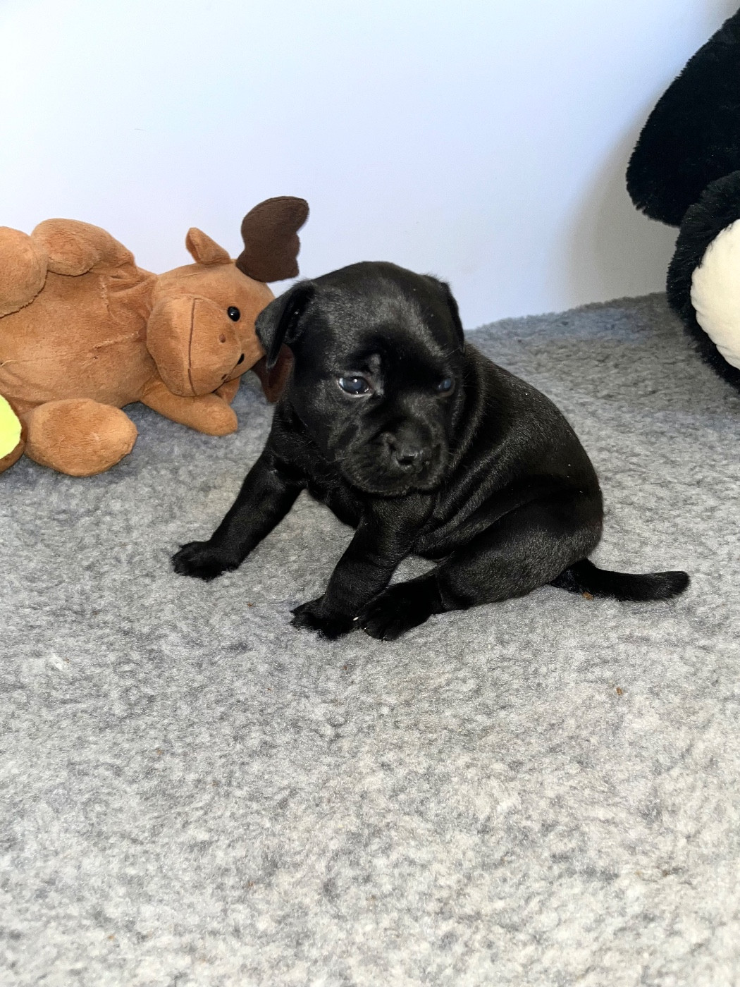 Actualité - Décembre 2025