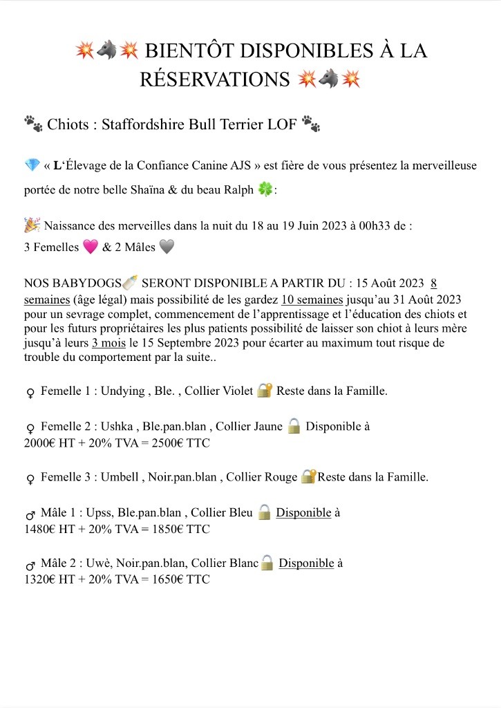 Annonce Vente Chiots
